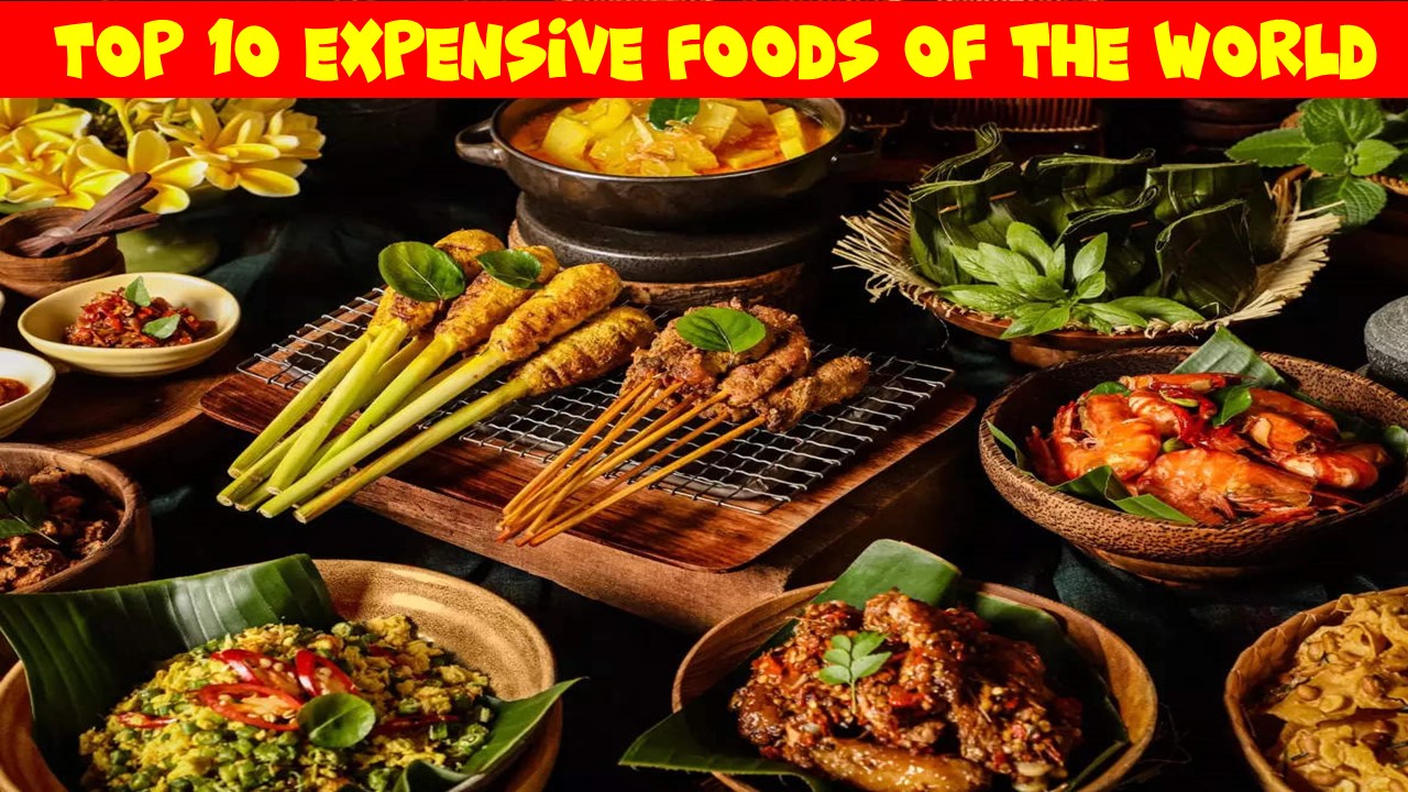 Top 10 expensive foods of the world